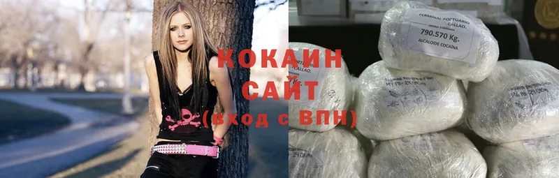 магазин продажи наркотиков  Дмитров  COCAIN Fish Scale 